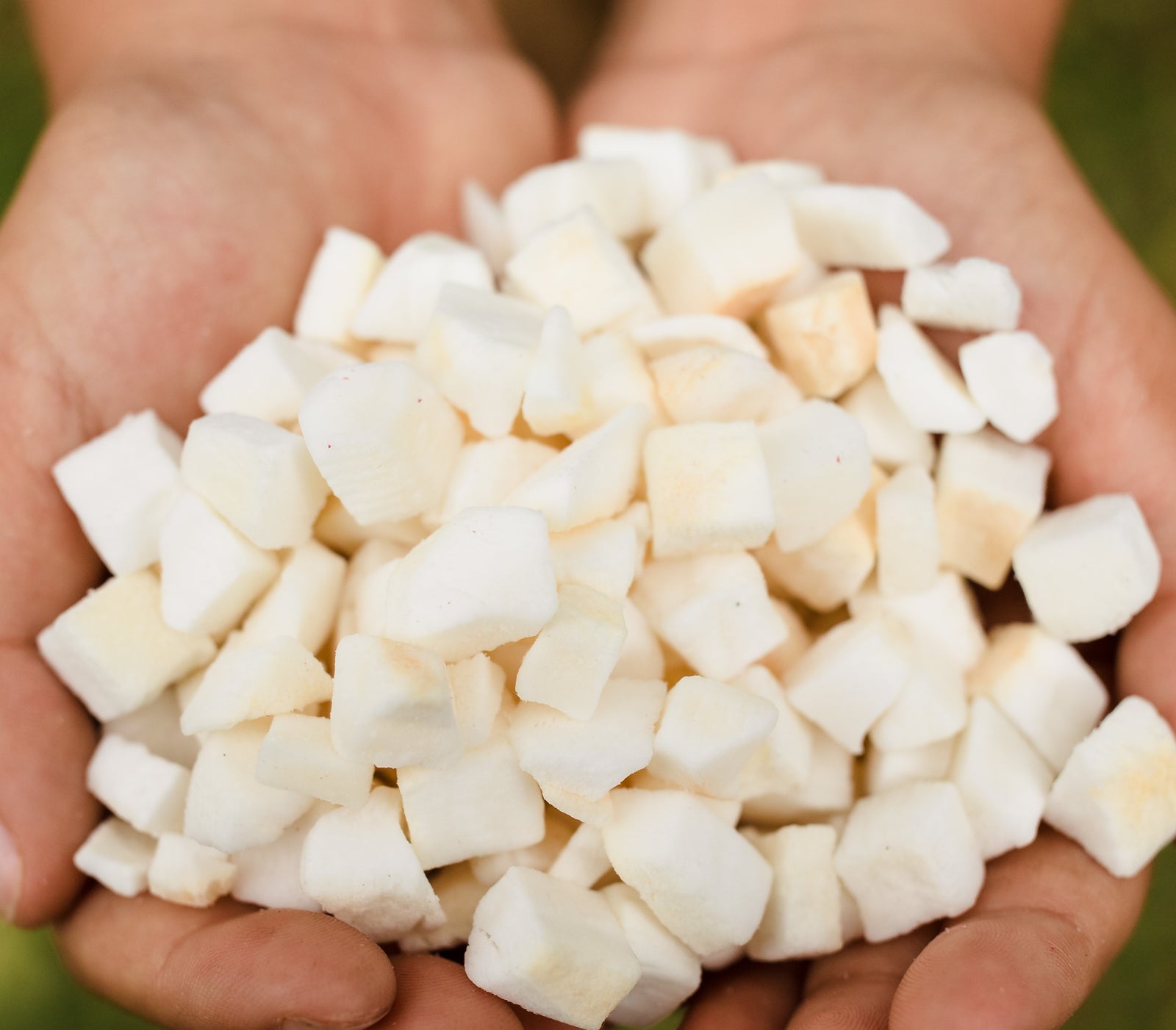 Coconut bites we love!